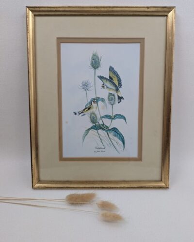 reproduction encadrée de John Gould représentant 2 chardonnets.