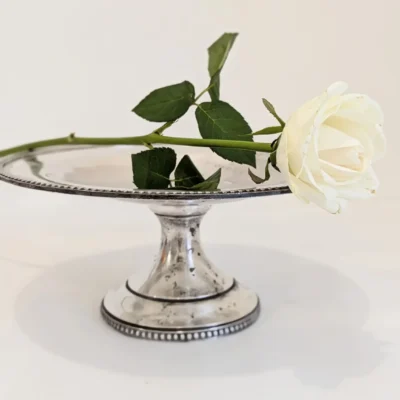 Coupe en métal argenté sur pied