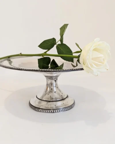 Coupe en métal argenté sur pied