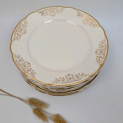 Assiettes plates Villery & Boch modèle Rhone