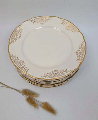 Assiettes plates Villery & Boch modèle Rhone