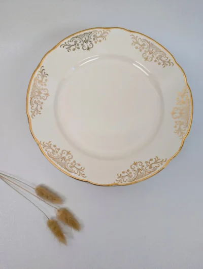 Assiette ancienne plate seule Villeroy et Boch Modèle Rhone