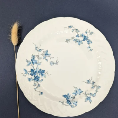 Assiettes en porcelaine de Limoges signées Bernardaud modèle St Saens