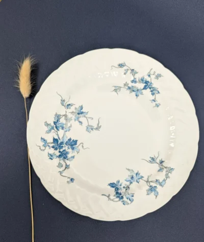 Assiettes en porcelaine Bernardaud Limoges modèle St Saëns décor bleu