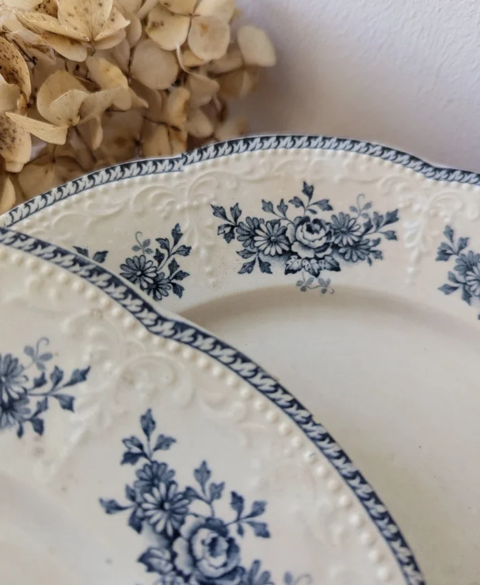 assiettes anciennes badonviller modèle richelieu