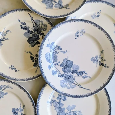 Ensemble assiettes anciennes XIXe décor botanique