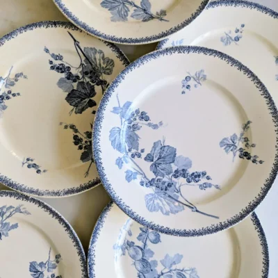 Ensemble assiettes anciennes XIXe décor botanique