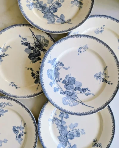 Ensemble assiettes anciennes XIXe décor botanique