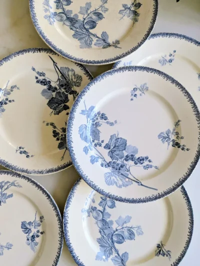 Ensemble assiettes anciennes XIXe décor botanique