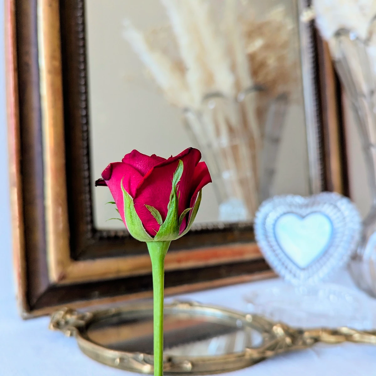 Cadeau Saint-Valentin Vintage Villa Brieg rose rouge et miroir ancien