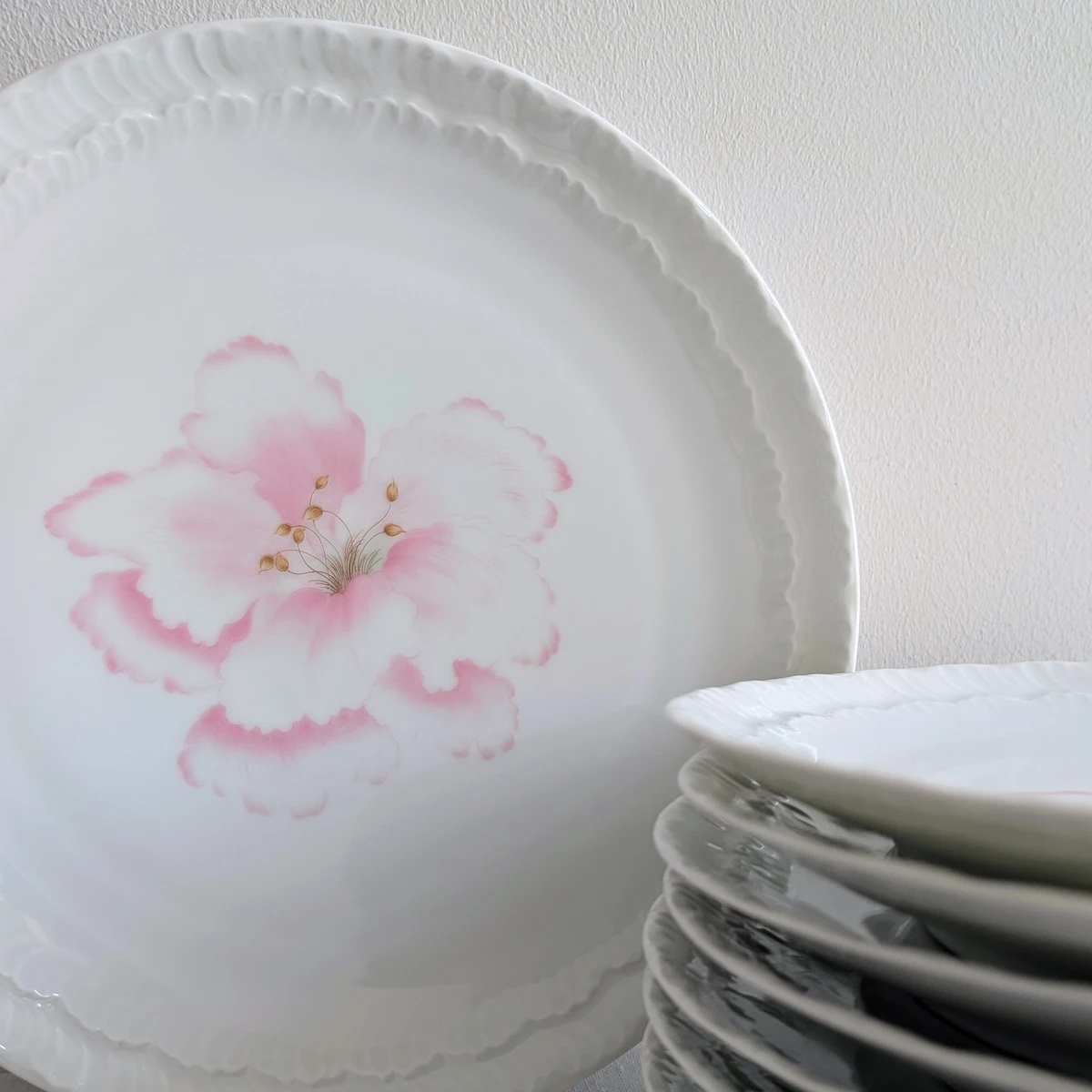 Pile d'assiettes plates anciennes en porcelaine fine