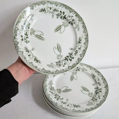 Assiette ancienne Saint-Amand Hamage tenue en main pour apprécier son diamètre de 21 cm.