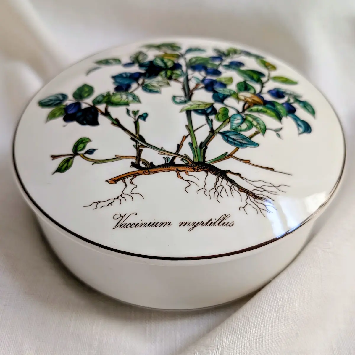 Boîte en porcelaine Villeroy et Boch Botanica motif Vaccinium myrtillus