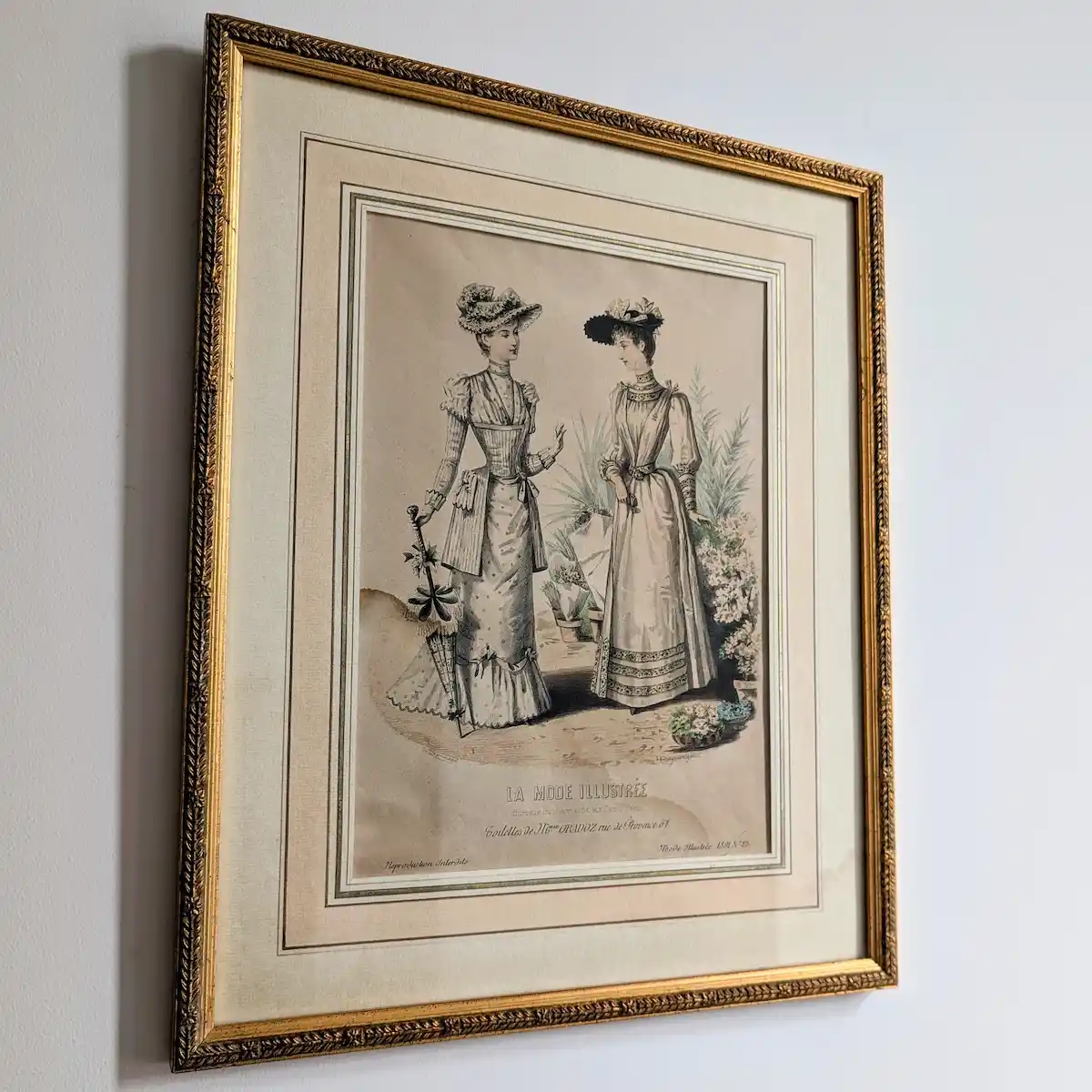 Vue de profil de la lithographie ancienne encadrée
