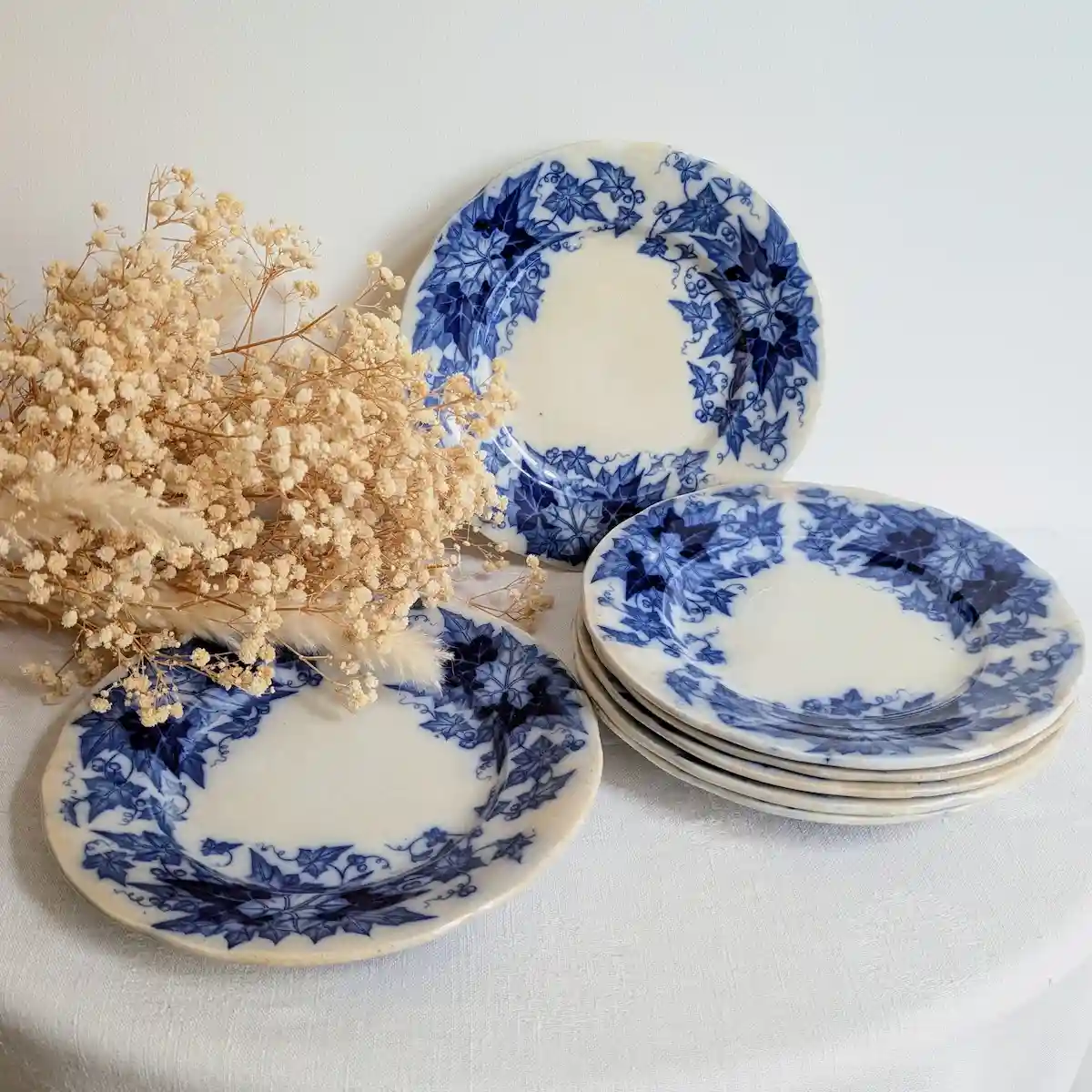 Mise en scène d'assiettes anciennes Sarreguemines Bryonia avec fleurs séchées