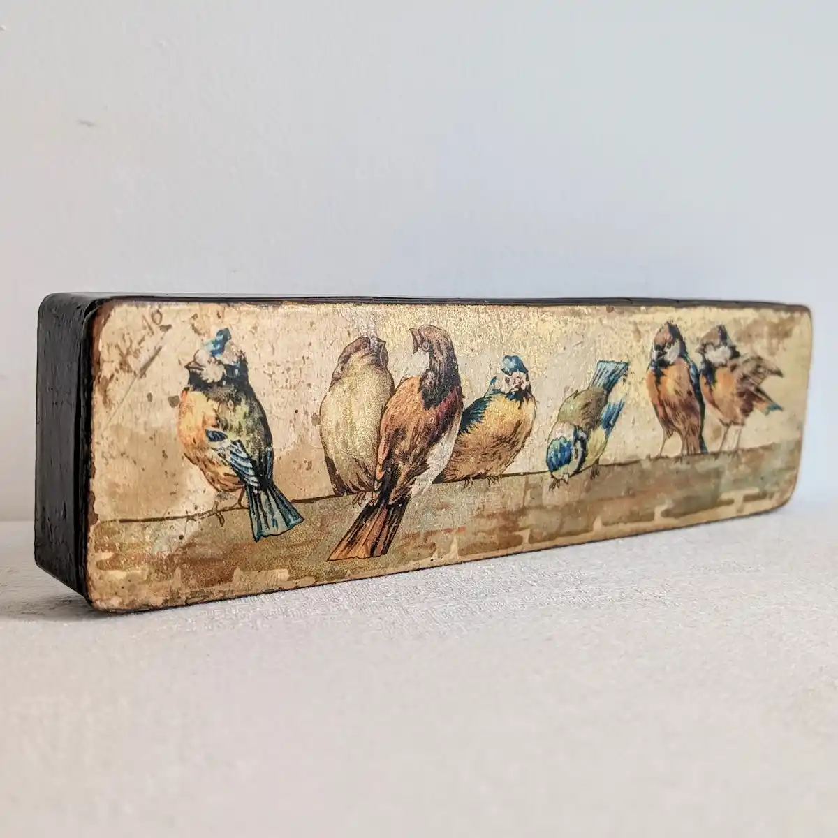 Plumier fermé présenté sur chant, avec décor d’oiseaux sur fond beige et côté noir visible.