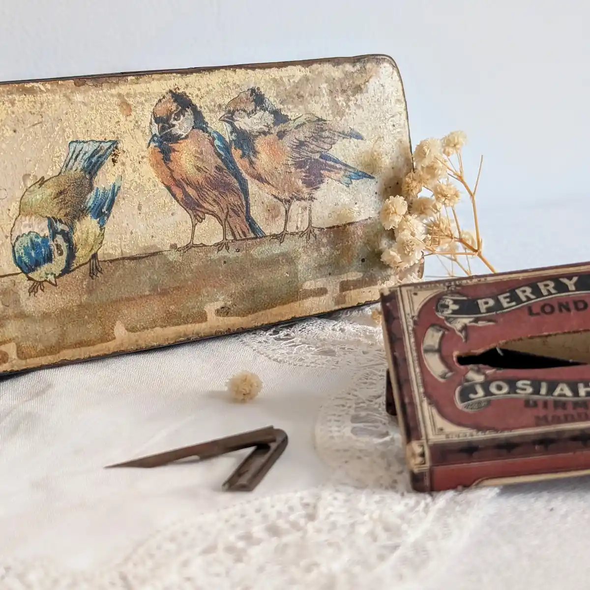 Gros plan sur les oiseaux à droite du couvercle, avec plumes métalliques et boîte d’accessoires au premier plan.
