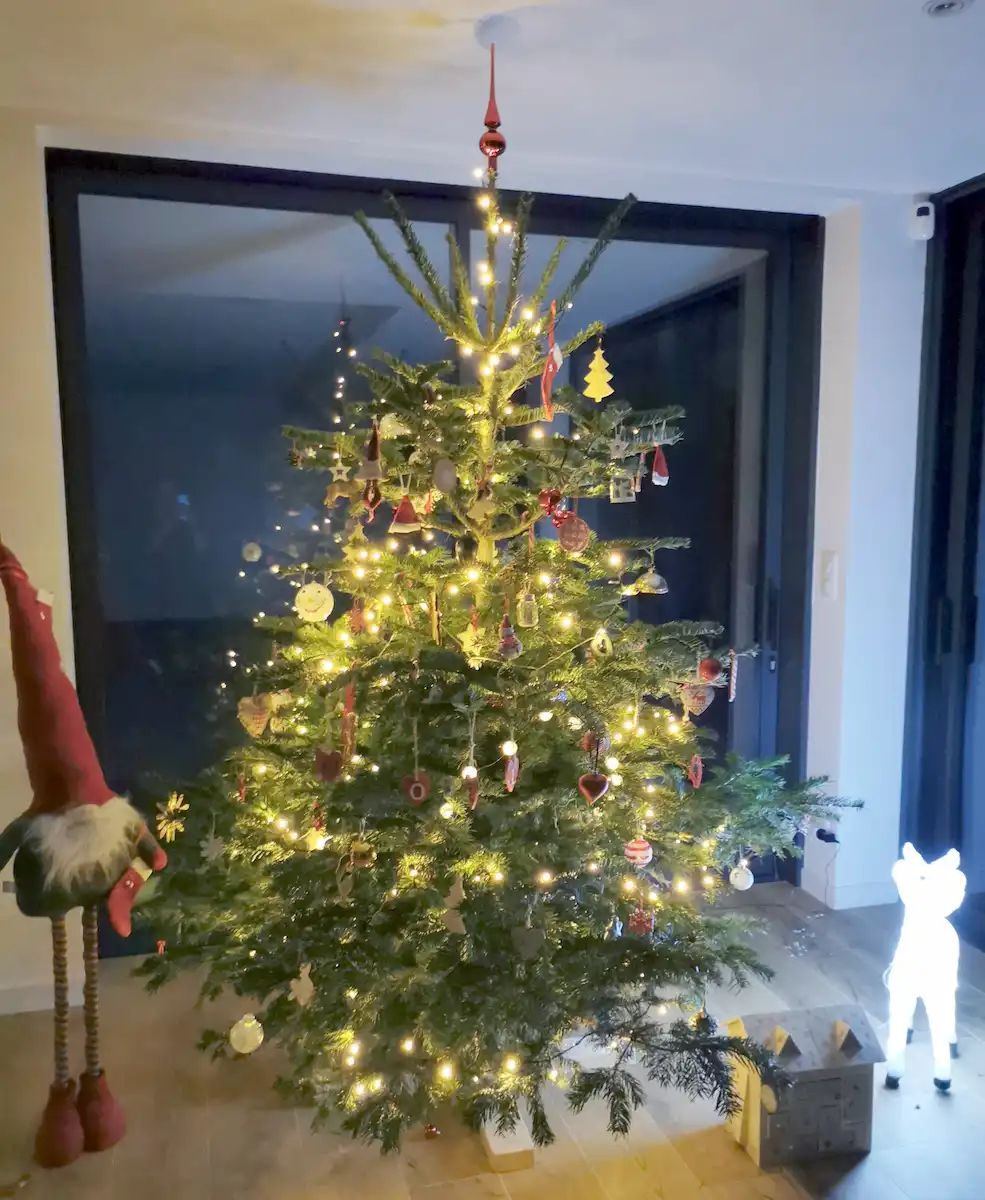 Grand sapin de Noël illuminé avec des décorations rouges et des ornements variés dans un salon